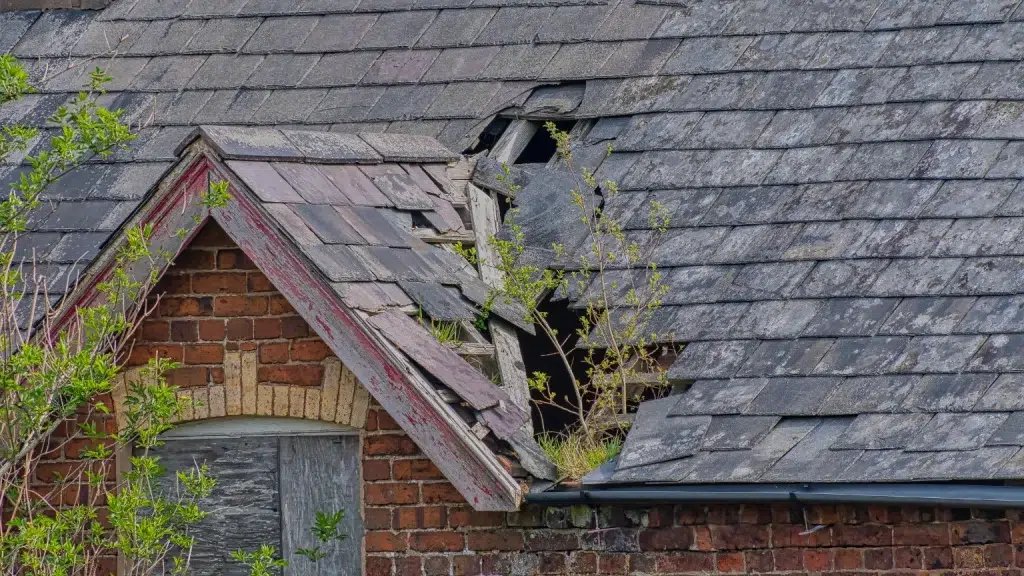 Factors Affecting Roof Life Span in Georgia