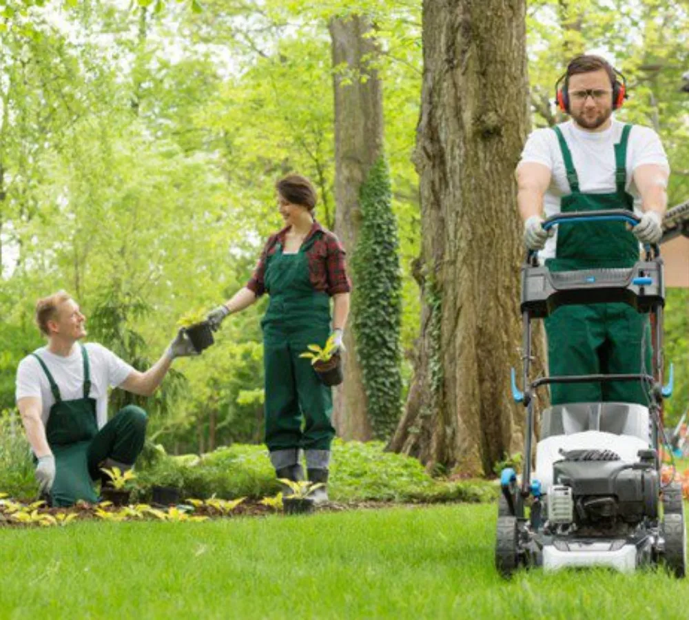 Georgia Landscaping Estimating Services