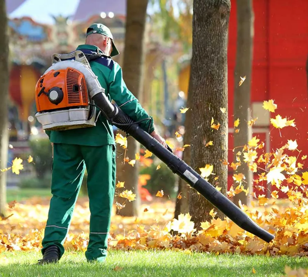 Landscaping Estimating Services Georgia